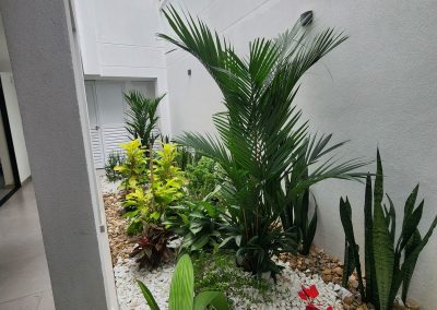 galeria fundalivio (21)