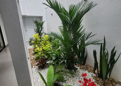 galeria fundalivio (22)